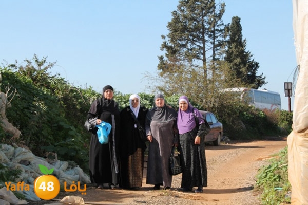 re7la tolkarem (50).JPG